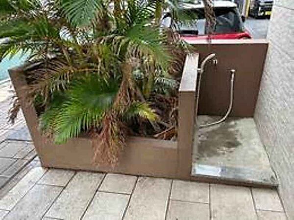 を拡大表示