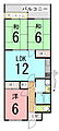 エバーグリーン松山1号館4階6.0万円
