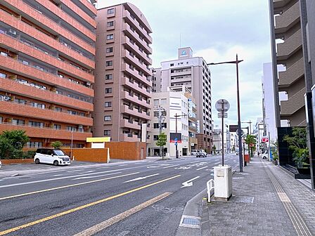 2026年6月撮影
