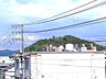 その他：2026年6月撮影