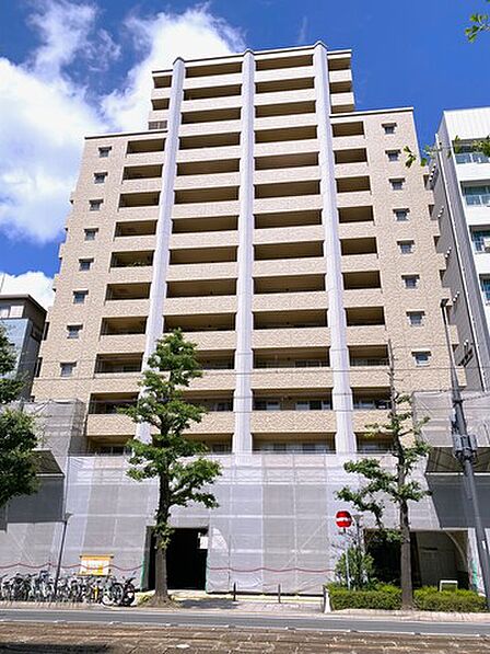 2026年7月撮影