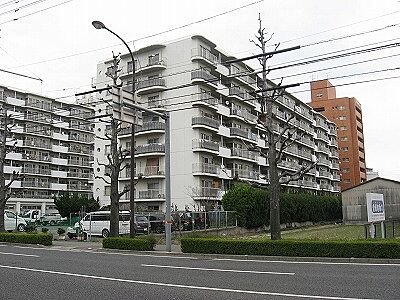 外観 外観
