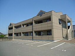 ステラ ハイム