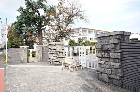 【小学校】松山市立八坂小学校まで1331m