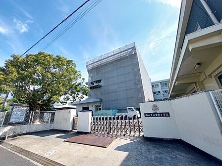 【小学校】松山市立宮前小学校まで396m