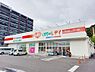 周辺：【ドラッグストア】くすりのレデイ　道後樋又店まで1327ｍ