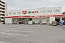 周辺：【ドラッグストア】くすりのレデイ　道後緑台店まで1202ｍ