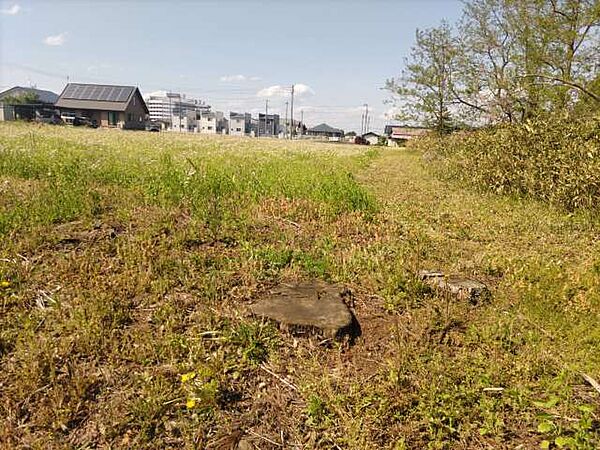 その他を拡大表示