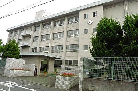 松山市立道後中学校 591m