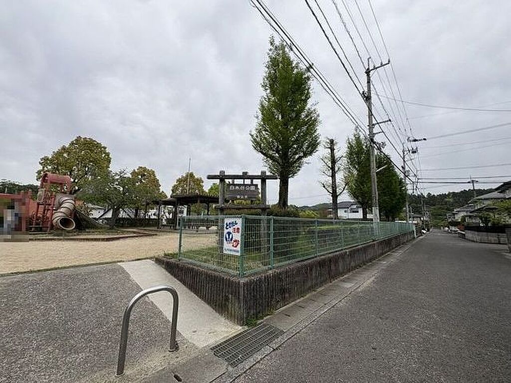 Image 36