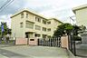 周辺：松山市立桑原小学校 1923m