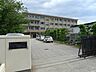 周辺：松山市立三津浜中学校 自主性を尊重した教育と豊かな地域との関わりを通じ、生徒一人ひとりの夢と成長を温かく育む市立中学校です。 1355m