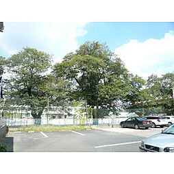 小学校「水戸市立石川小学校まで576ｍ」水戸市立石川小学校