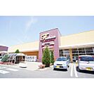 スーパー「ヨークベニマル赤塚店まで859ｍ」営業時間/9