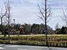 周辺：染地台野鳥公園まで700ｍ