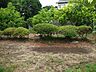 陽当たりも良好です