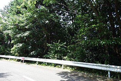 外観：南道路に面しています