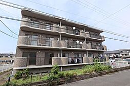 ステイゴールド