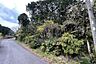 外観：現況は山林となっています