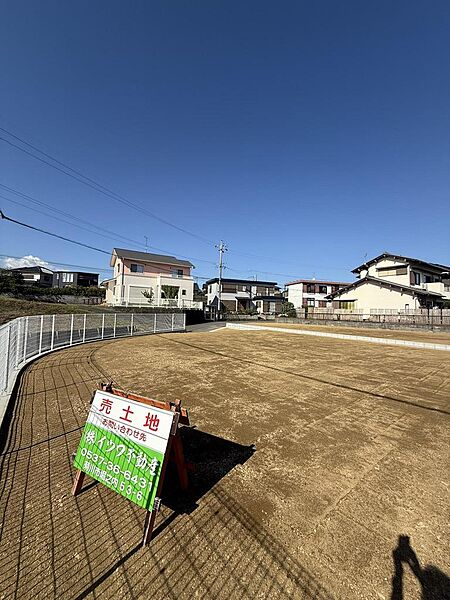 その他を拡大表示