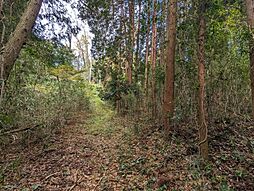 JR身延線 西富士宮駅 5.8km