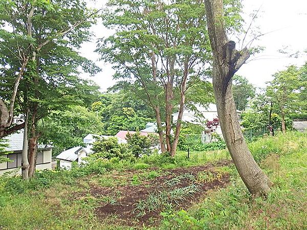 その他を拡大表示