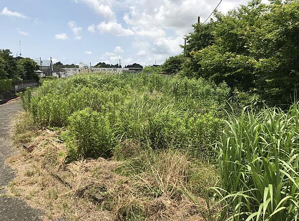 その他を拡大表示
