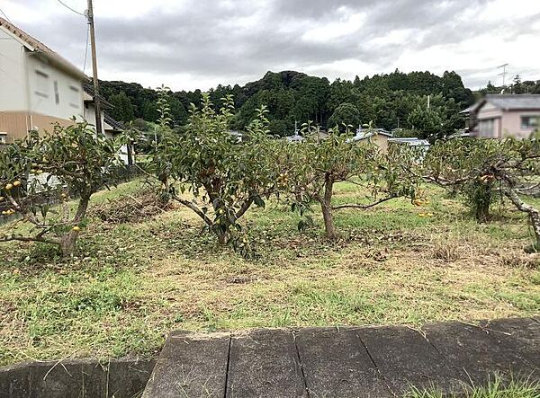 を拡大表示