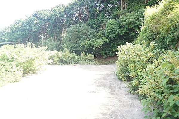 を拡大表示