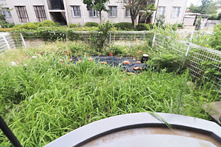 戸建感覚を味わえる29.34ｍ2の専用庭