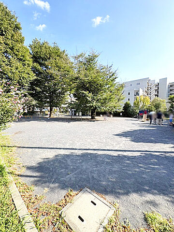 周辺 シャンティ武蔵関 4階/-