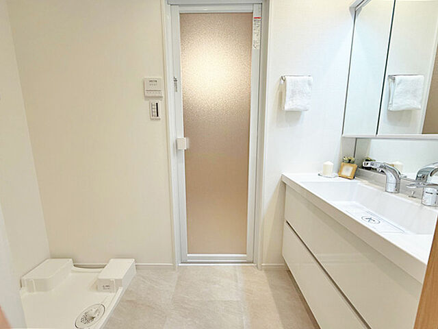 洗面 パレステージ上野 10階/-