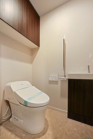 トイレ ザ・パークハウス西新宿タワー60 27階/-