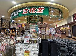 文化堂 豊洲店（約240m）