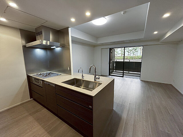 キッチン ザ・パークハウス高輪フォート 2階/-