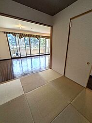 室内の画像