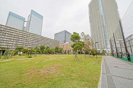晴海臨海公園 20m