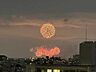 その他：2026/8/1板橋区花火大会写真　玄関前共用廊下から（ズームでの撮影）