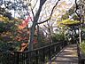周辺：新宿区立おとめ山公園 200m