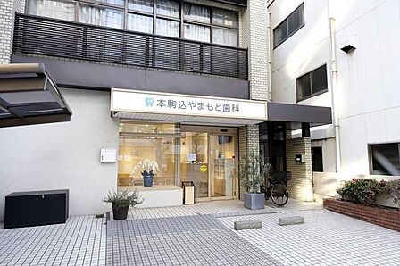 本駒込やまもと歯科 150m