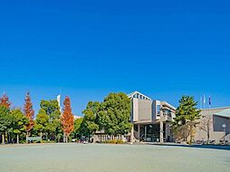 教育の森公園 350m