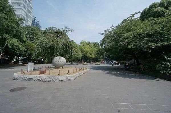 周辺を拡大表示