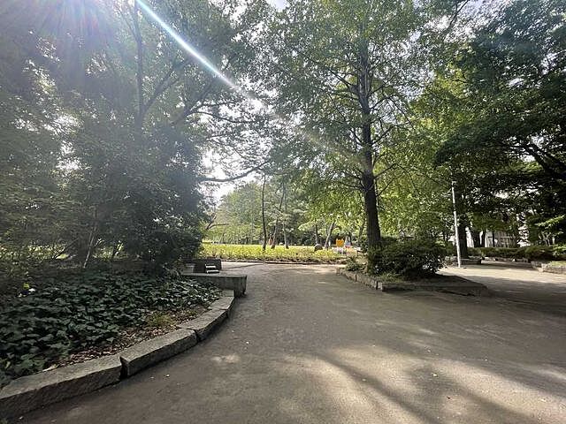 周辺 スタイルハウス南麻布 5階/-