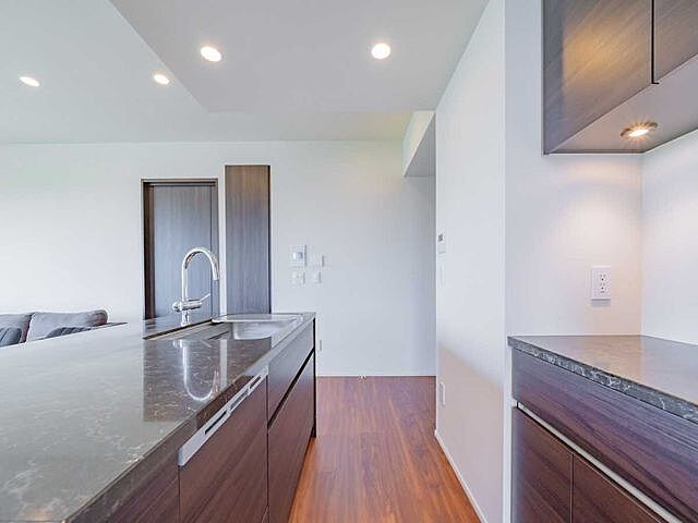 キッチン ブリリアタワー上野池之端 12階/-