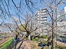 周辺：外堀公園緑道 10m