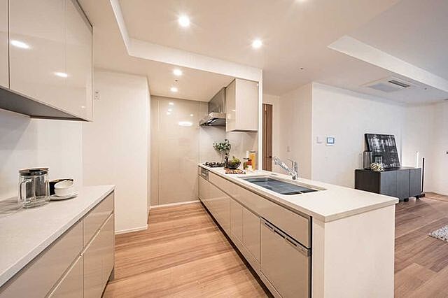 キッチン パークタワー勝どきサウス 57階/-