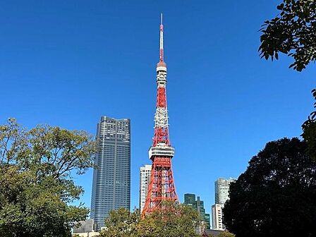 東京タワー 100m
