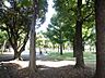 周辺： 青山公園 180m