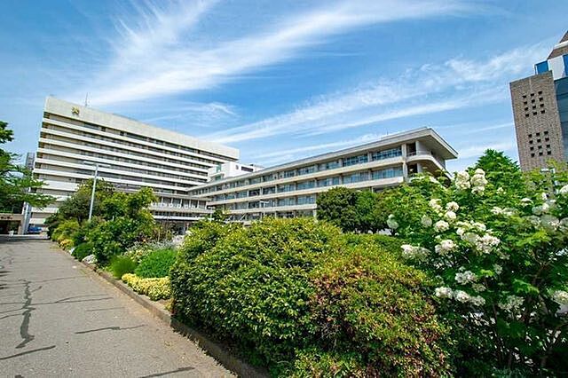 周辺 ジオ四谷荒木町 5階/-