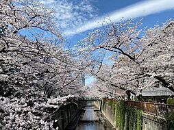 目黒川 360m
